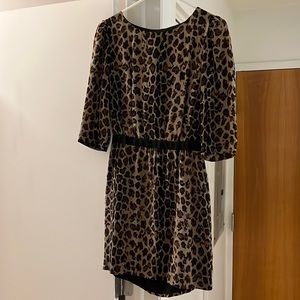 Leopard print Camilla and Marc cocktail dress with low back cutout.